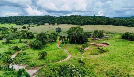Fazenda à venda, 968000 m² por R$ 7.000.000 - Zona Rural - Pontalina/GO