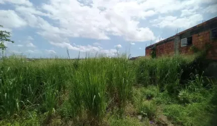 Terreno Urbano para Venda em Salvador, Águas Claras