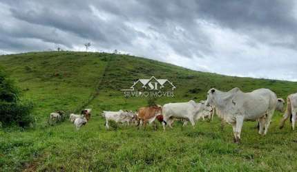 Fazenda- Paraíba do Sul, Centro