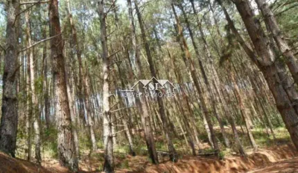 Terreno- Petrópolis, Araras