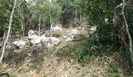 Terreno- Petrópolis, Samambaia