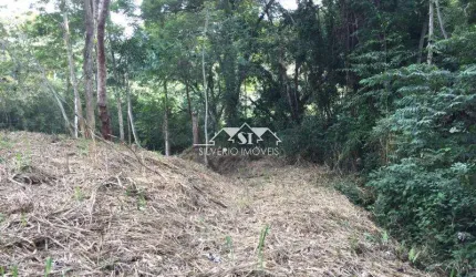 Terreno- Areal, Julioca
