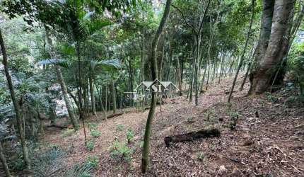 Terreno- Petrópolis, Mosela