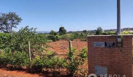 Chácara em Terra Santa   -  Trindade
