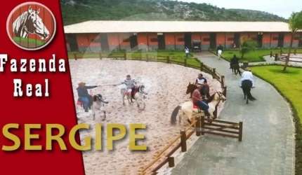 TERRENO A VENDA NO CONDOMÍNIO FAZENDA REAL