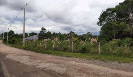 GRANDE ÁREA - BORDA DO CAMPO - SÃO JOSÉ DOS PINHAIS