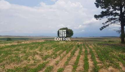 Campo com 200 hectares em São Gabriel/RS