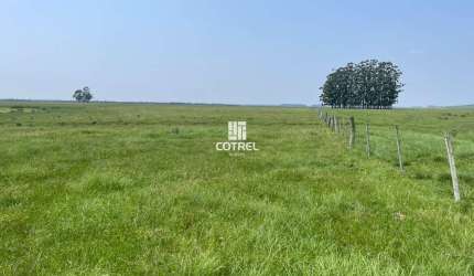 Fazenda para venda com 217 ha localizada na cidade de Sant'Ana do Livramento/RS.