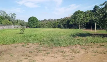 TERRENO PARA VENDA NA ESTRADA DA UEA