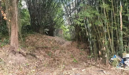Área de Terra à venda em Ingá - RJ