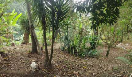 Terreno à venda em Badu - RJ