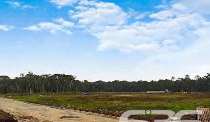 Terreno | São Francisco do Sul | Ervino