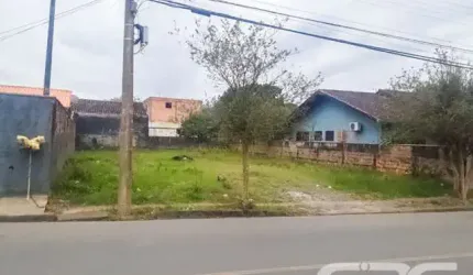 Terreno | Joinville | Floresta