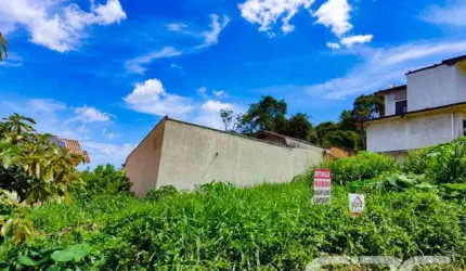 Terreno | Joinville | Floresta