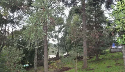 TERRENO no bairro VARZEA GRANDE em Gramado