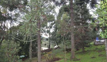 SITIO no bairro VARZEA GRANDE em Gramado