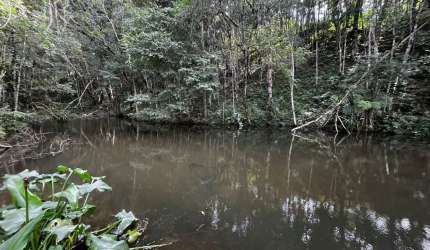CHÁCARA COM 63.000 M² A 3.7 KM DA CIDADE !