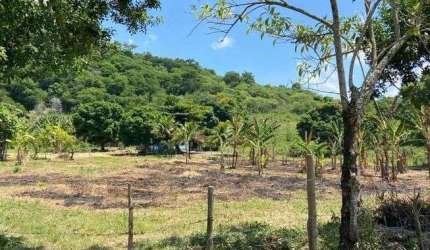 COD-714 SÍTIO – ESTRADA DO TINGUI