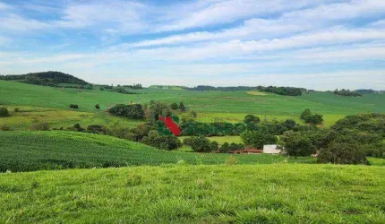 Fazenda à venda, 171 Alq-SP por R$ 43.000.000 - Jataizinho - Jataizinho/PR
