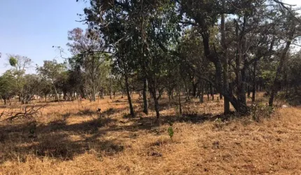 Chácara com 1 dormitório à venda, 21000 m² por R$ 1.150.000,00 - Jockey Park - Uberaba/MG