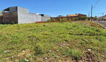 Terreno à venda, 250 m² por R$ 100.000,00 - Jardim Maracanã - Uberaba/MG