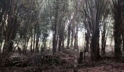 Terreno à venda na Zona Rural, Iranduba  por R$ 250.000