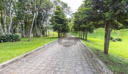 Chácara com 4 dormitórios à venda, 13316 m² por R$ 1.640.000,00 - Borda do Campo - Piraquara/PR
