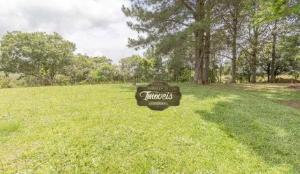 Chácara à venda, 35490 m² por R$ 1.380.000,00 - Planta Laranjeiras - Piraquara/PR