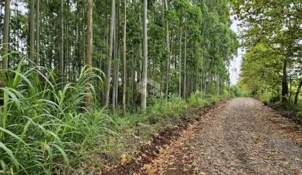 Área de terra em São Valentim do Sul