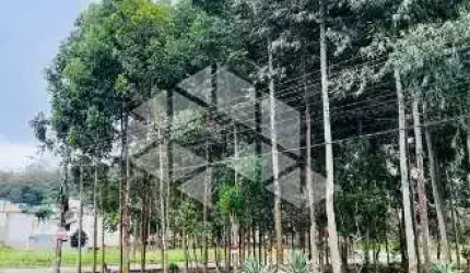 Terreno Plano