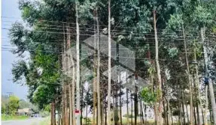 Terreno Plano