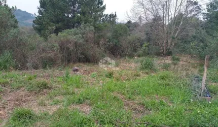 Terreno a venda no bairro Santa Helena Bento Gonçalves RS