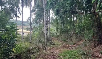 chácara em Linha Paulina