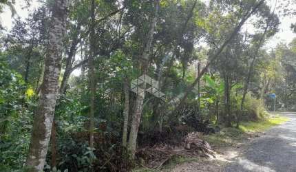 Terreno em Canto Grande/Mariscal Bombinhas SC
