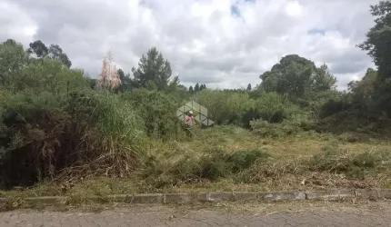 Terreno com 360m² em São Francisco de Paula
