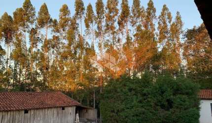 Chácara com 5 dormitórios à venda, 72600 m² por R$ 1.400.000,00 - Torre de Pedra - Torre de Pedra/S