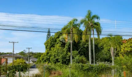 TERRENO NA LAGOA DA CONCEIÇÃO COM AEREA MISTA.