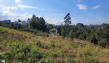 Terreno à venda na Euclides Machado, 1849, Forqueta, Caxias do Sul, 14084 m2 por R$ 2.600.000