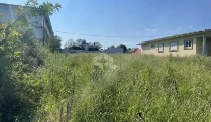 Terreno em boa localização, no interior de Carlos Barbosa