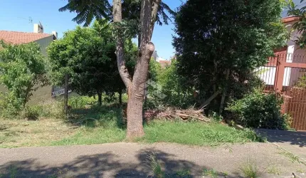 Terrenos  no Jardim Itália