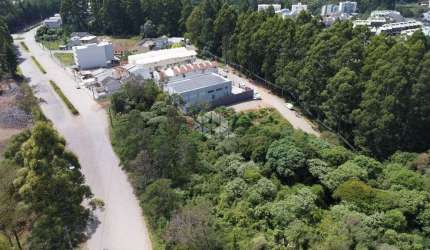 Terreno no bairro Forqueta em Caxias do Sul