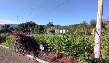 Terreno bairro Boa Vista - Lindolfo Collor