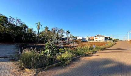 4 LOTES JUNTOS EM LINDOLFO COLLOR