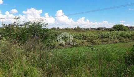 Terreno Comercial À Venda, Fragata, Pelotas.