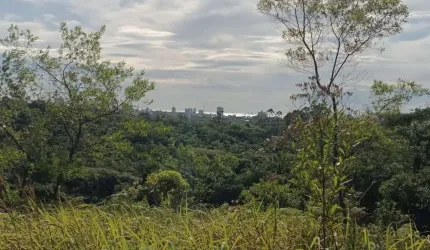 Sítio para Venda em Balneário Piçarras, NOSSA SENHORA DA CONCEIÇÃO, 16 dormitórios, 8 banheiros, 6 vagas