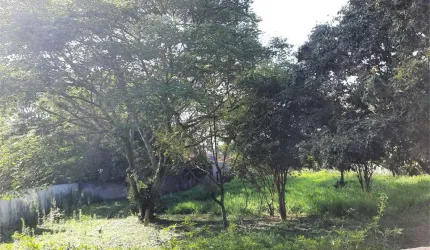 Terreno plano de 600 m² a venda no Bolsão de Interlagos