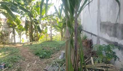 Terreno 266 M² Bosque da Saúde - SP