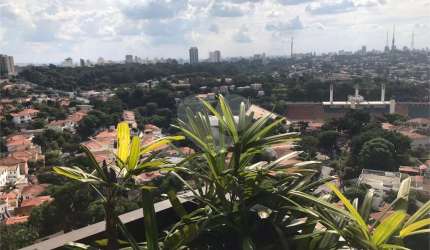 Apartamento com 3 quartos à venda em Higienópolis - SP