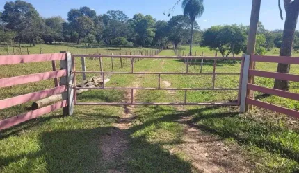 Chácarana no Cachoeirão! com 3.7 hec, tanque de peixe e 180 metros de rio.