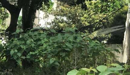 Oportunidade para você que está procurando um terreno nobre em um dos melhores endereços de SP.